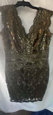 Tadashi Shoji Sequined Lace Cocktail Sheath Dress Size 12